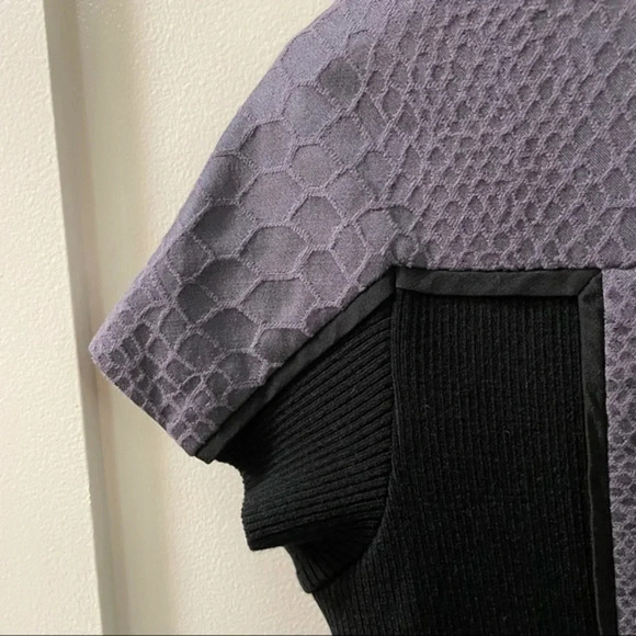 Rebecca Taylor Short Sleeve Snake Jacquard Fit and Flare Knit Dress $395 6 - Picture 10 of 12